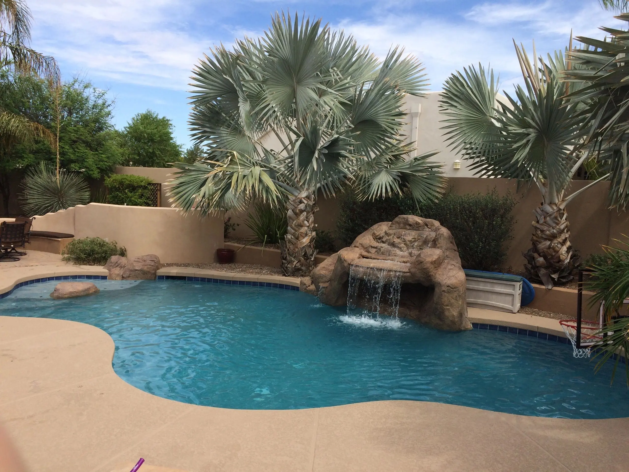 A pool with a waterfall and palm trees